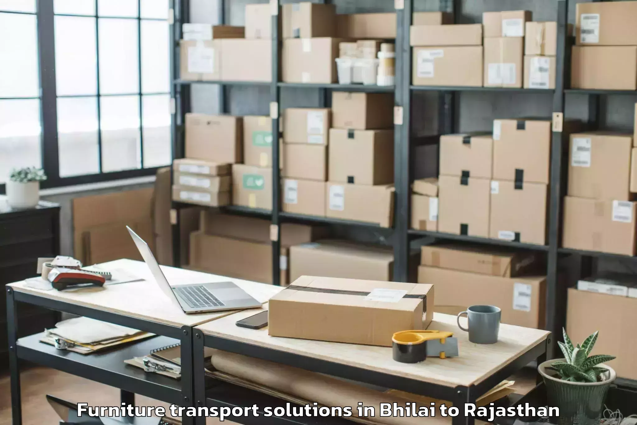 Book Bhilai to Amet Furniture Transport Solutions Online